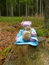 Dokonalý marketingový tah: Kůrovec je zapomenutý, turisti teď na Šumavě fotí plyšáky!